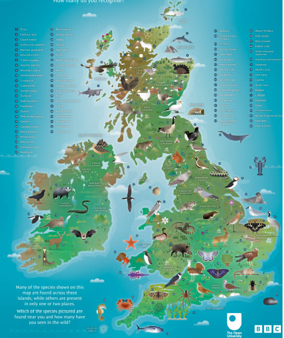 OU BBC WildIsles poster britishisles