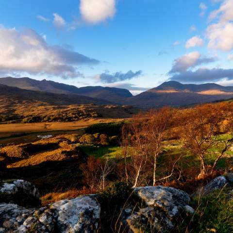 Kerry_Killarney_TorcMountain_Web_Chris_hill_1_30_11_2011_13