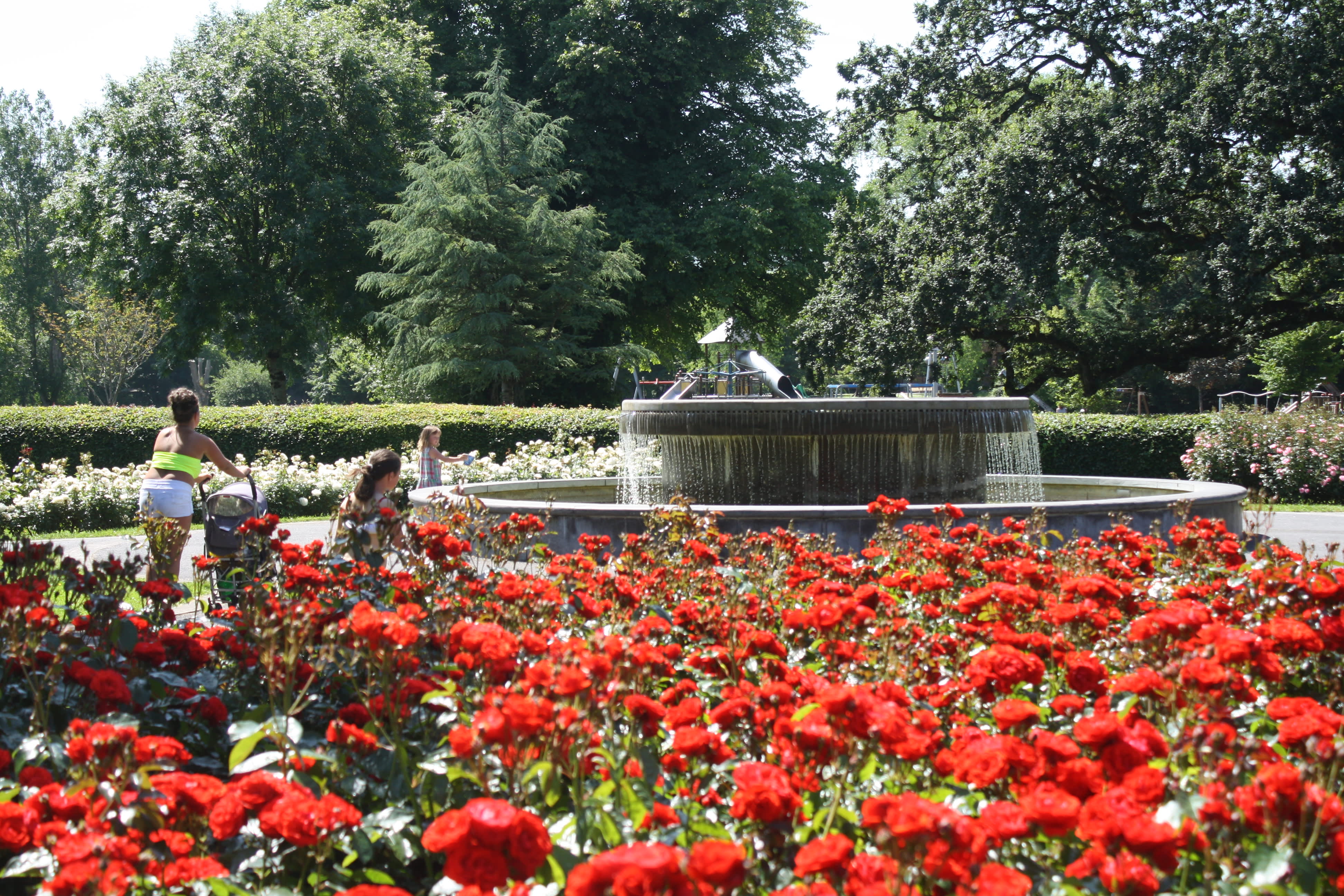 Kerry_Tralee_Rose_Garden_Tralee_Town_Park