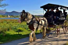 jaunting_car_ride_through_killarney_national_park