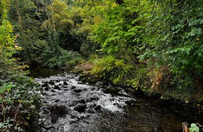 Ballyseedy 5km Trail River Photo