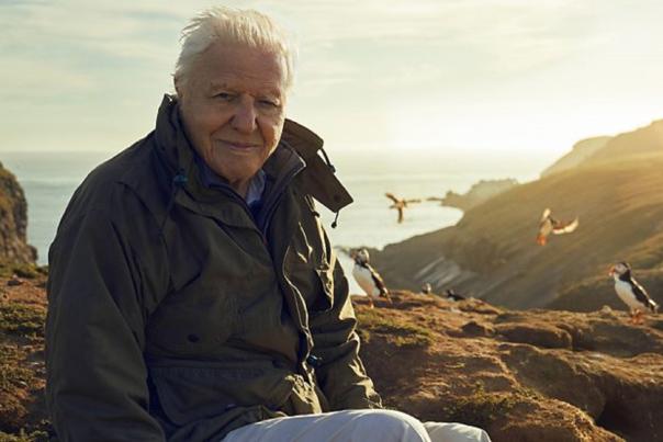 BBC one Wild Isles Our Precious Isles Sir David Attenborough