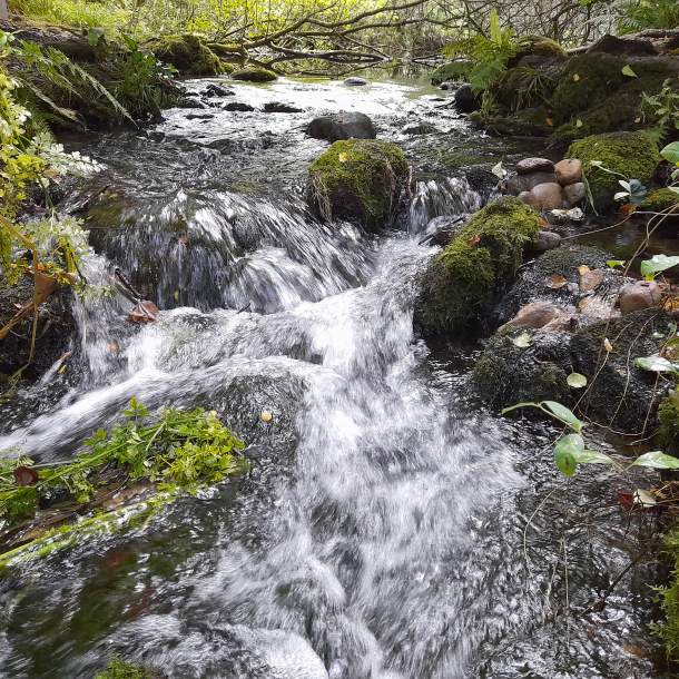 blue pool at muckross, Killarney