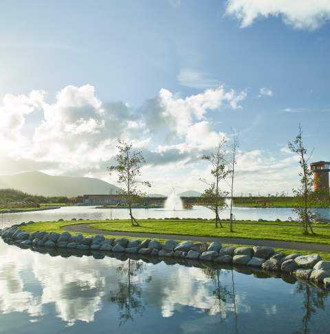 Tralee Wetlands