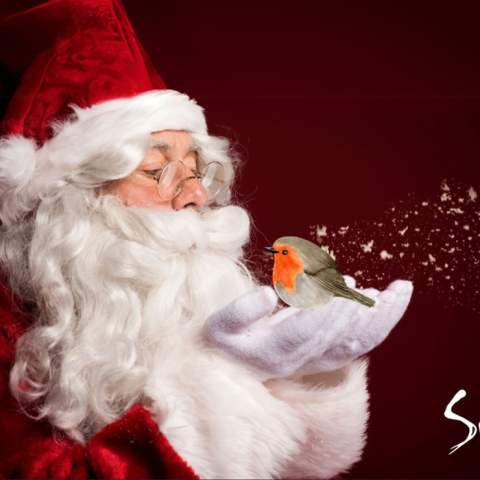 Sensory Friendly Santa Visits at Siamsa Tíre