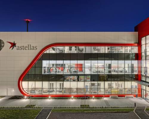 Astellas Killorglin