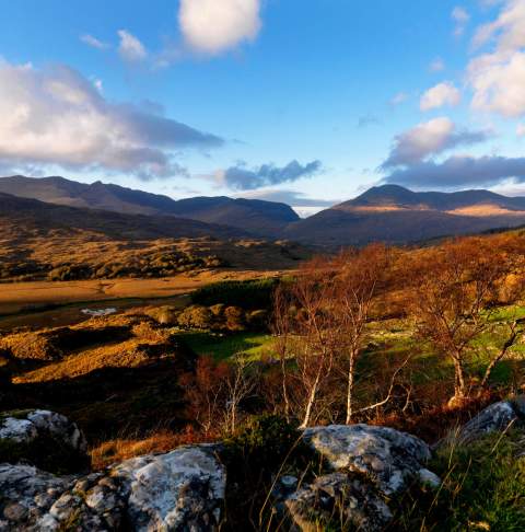 visit failte irealnd content pool killarney mountains