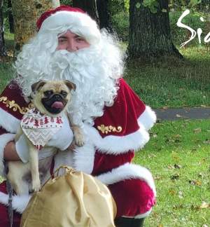 Bring Your Dog to Visit Santa! Santa Paws at Siamsa Tíre