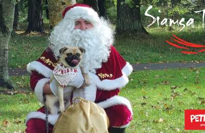 Bring Your Dog to Visit Santa! Santa Paws at Siamsa Tíre