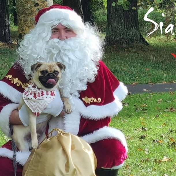 Bring Your Dog to Visit Santa! Santa Paws at Siamsa Tíre