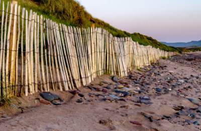 Visit Maharees Chestnut Fencing