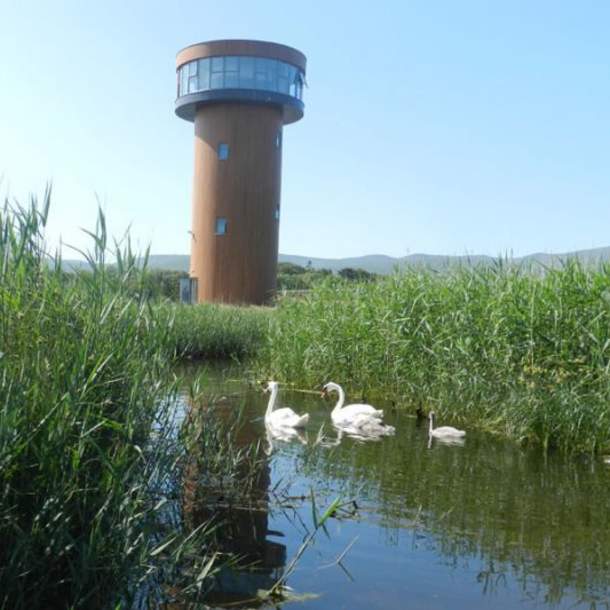 Tralee Bay Wetlands