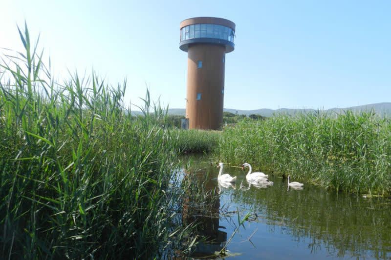 Tralee Bay Wetlands