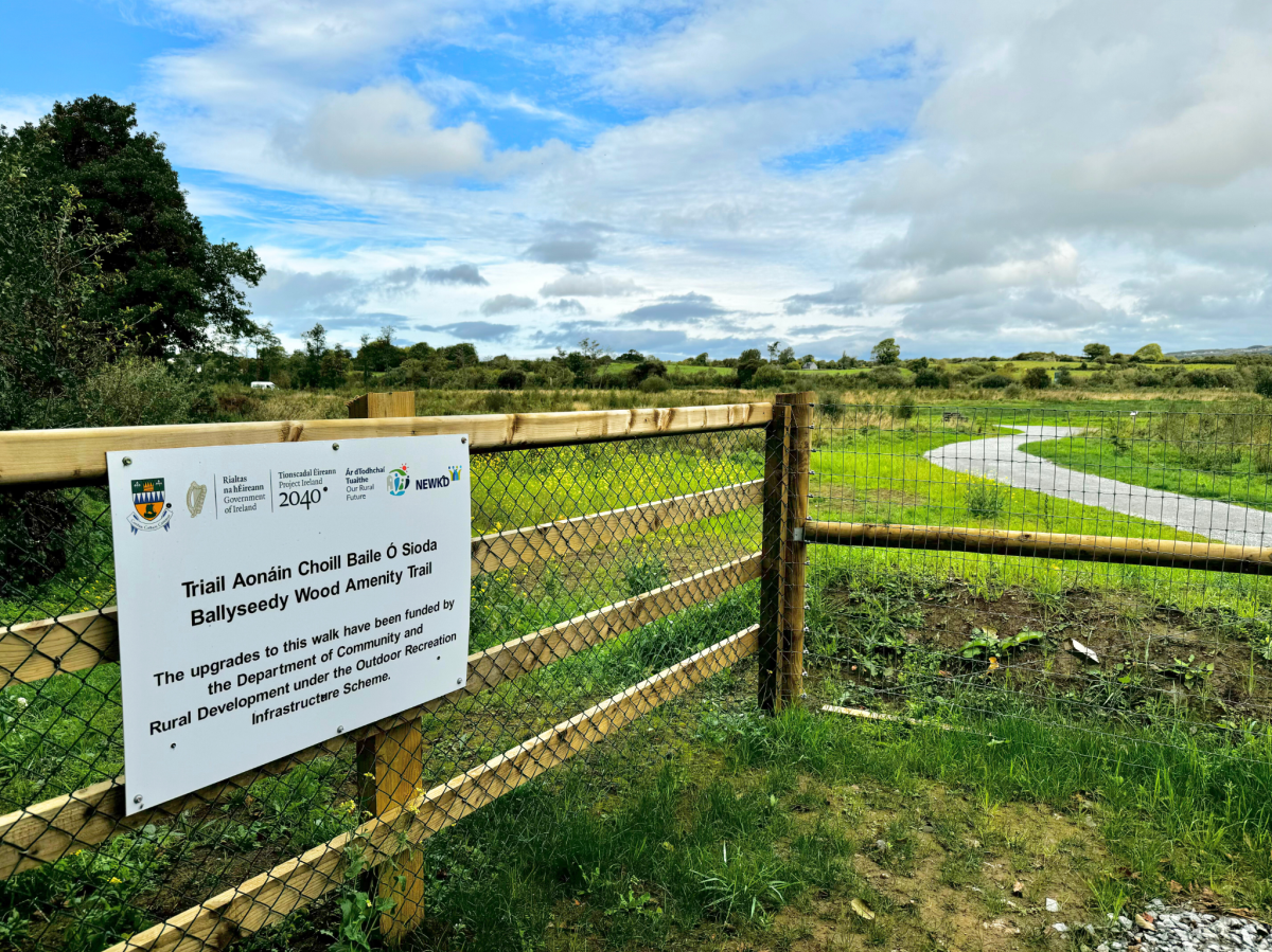 Ballyseedy Wood Amenity Trail