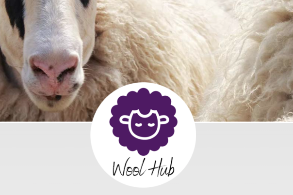 Wool Hub Circular BioEconomy